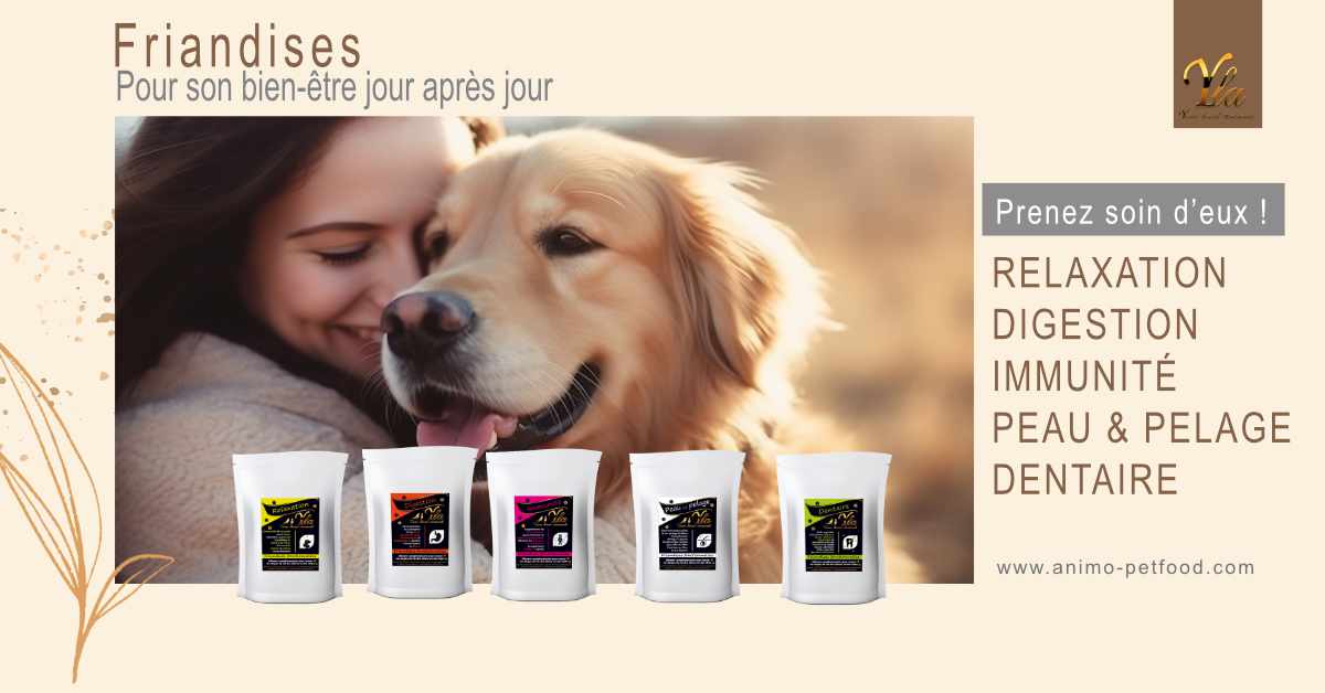 friandises pour chiens